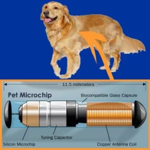 Pet MicroChips