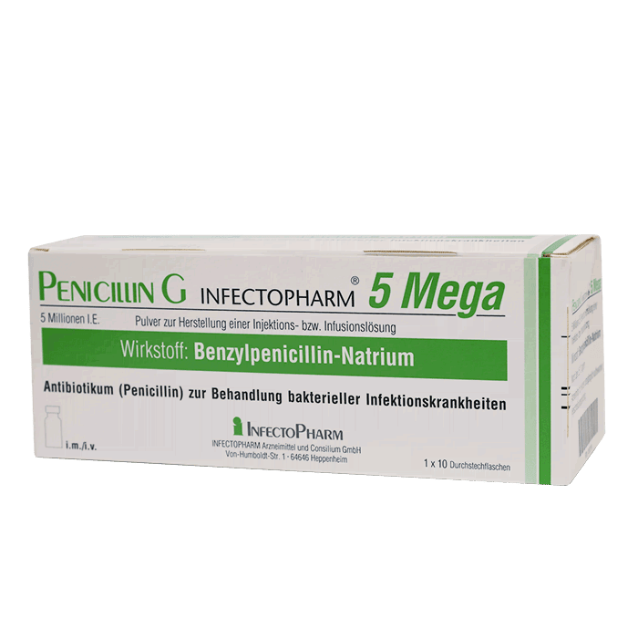 Penicillin G usages - The Puppy Care